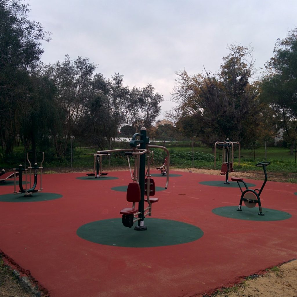 מתקני כושר בגן ציבורי
